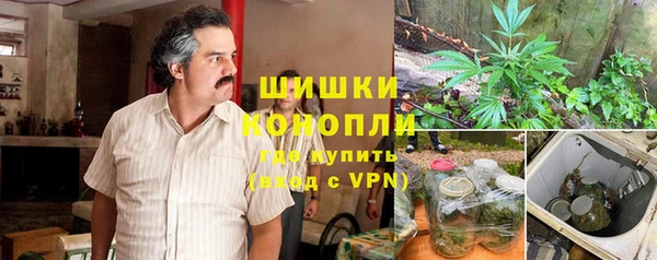 шишки Бугульма