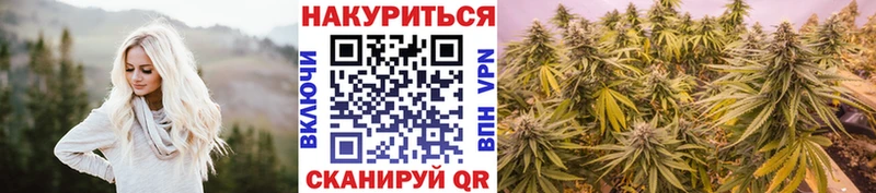 Бошки марихуана сатива  Семёнов 